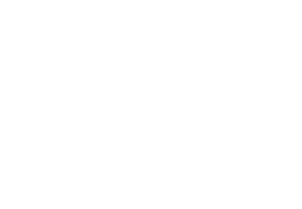 Logo PHÚC ĐẠT CONNECT 2